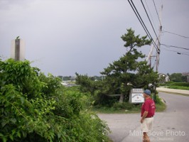 Picture 1