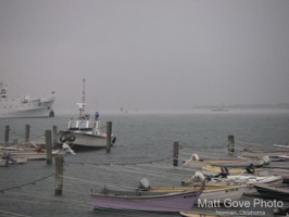 Picture 20
