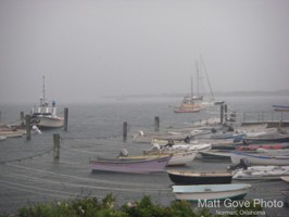Picture 24