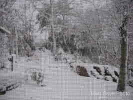 Picture 1