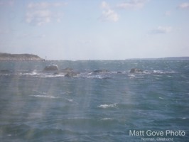 Picture 11