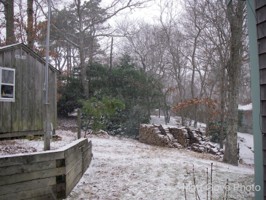 Picture 14