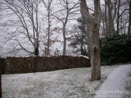 Picture 19