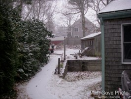 Picture 21