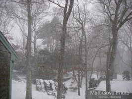 Picture 22