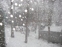 Picture 24