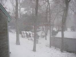 Picture 25