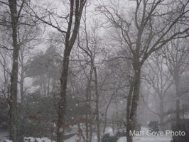 Picture 27