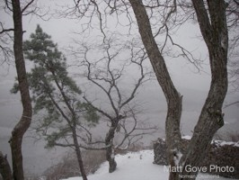 Picture 30