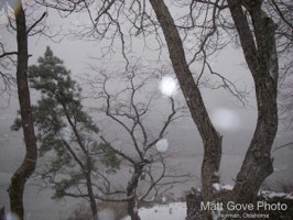 Picture 31