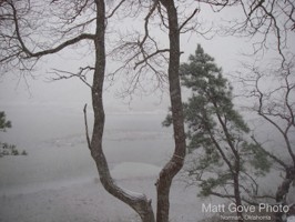 Picture 34