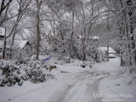 Picture 7