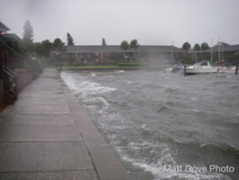 Picture 11