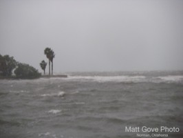 Picture 12