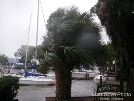 Picture 14
