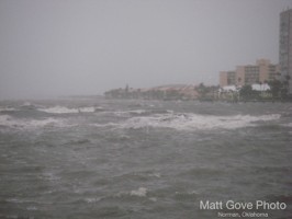 Picture 19
