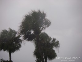Picture 21