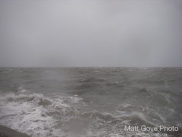Picture 41