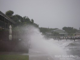Picture 44