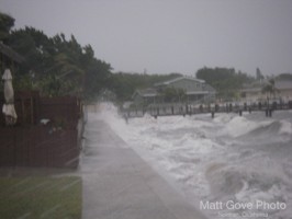 Picture 45