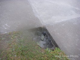 Picture 48