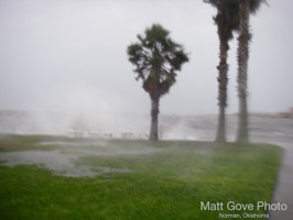 Picture 51