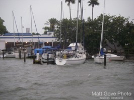 Picture 6