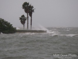 Picture 7