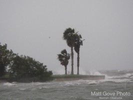 Picture 8