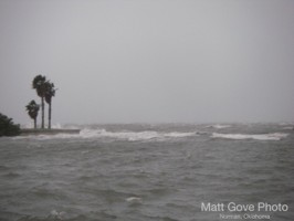 Picture 9