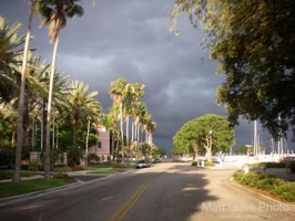 Picture 10