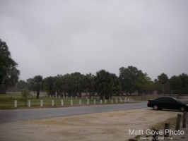 Picture 24