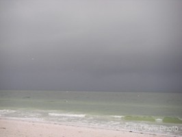 Picture 10