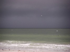 Picture 12