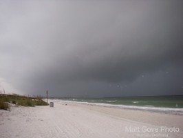 Picture 14