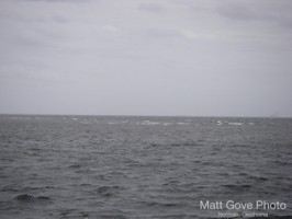 Picture 1