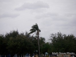 Picture 10