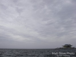 Picture 14