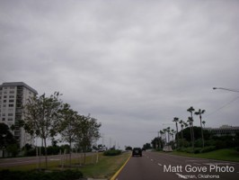 Picture 15