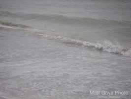 Picture 19