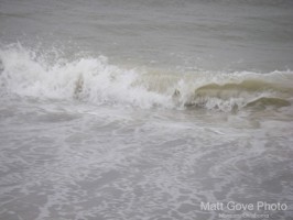 Picture 20