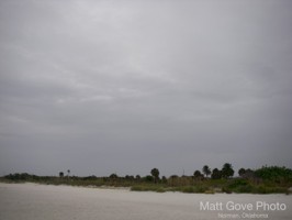 Picture 23