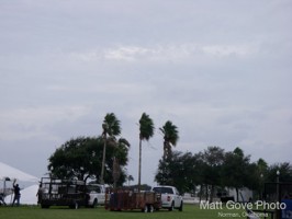 Picture 7
