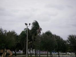 Picture 9
