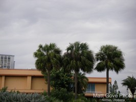 Picture 4
