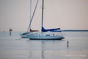 Picture 14