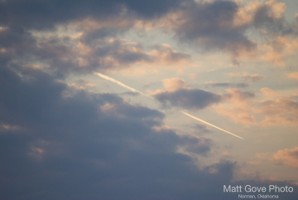 Picture 25