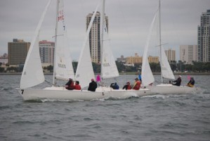 Picture 16