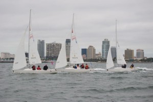 Picture 20