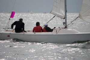 Picture 40